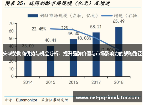 安联赞助商优势与机会分析：提升品牌价值与市场影响力的战略路径